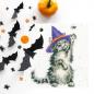 Preview: Bothy Threads - Stickpackung Hanna Dale The Witch`s Cat