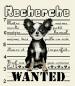 Preview: Isabelle Vautier Design Stickvorlage " I want a Chihuaha "