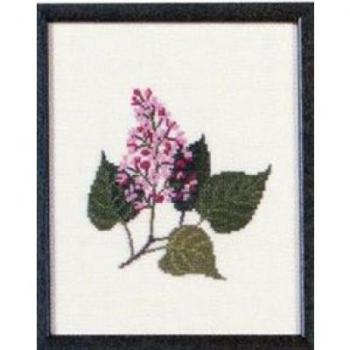 Fremme Stickpackung Lilac New Hampshire 17 x 21cm