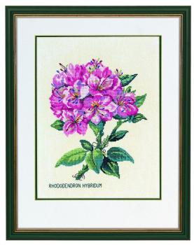 Eva Rosenstand - Rhododendron pink