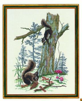 Eva Rosenstand - Eichhörnchen