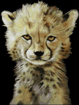 Kustom Krafts Stickpackungen " Baby Cheetah "
