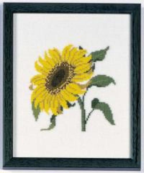 Fremme Stickpackung Sonnenblume 17 x 21cm