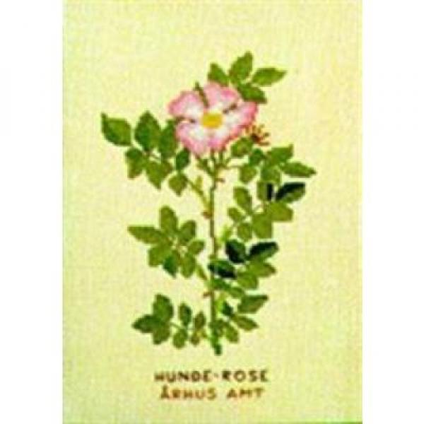 Fremme Stickpackung Wilde Rose 20 x 30cm
