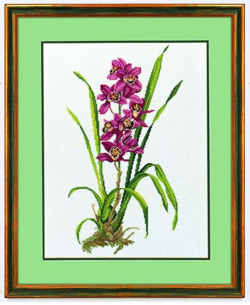 Eva Rosenstand - rote Orchidee