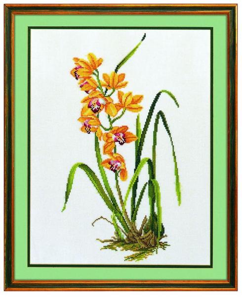 Eva Rosenstand - gelbe Orchidee