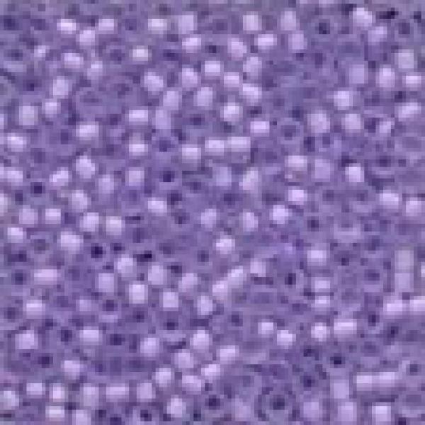 Mill Hill Beads / Perlen - 62047 Lavender