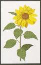 Fremme Stickpackung Sonnenblume 24 x 15cm