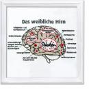 Schrägstich - Vorlage "Das weibliche Hirn" mit gratis Postkarte